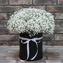 Цветочная композиция из Гипсофила в шляпной коробке в Куршаве