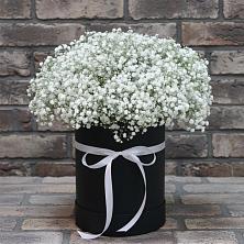 Цветочная композиция из Гипсофила в шляпной коробке в Куршаве