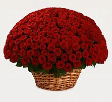 Премиум букет из: Розы в Куршаве