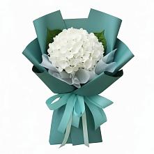 Букет цветов из:  Гортензия в Куршаве